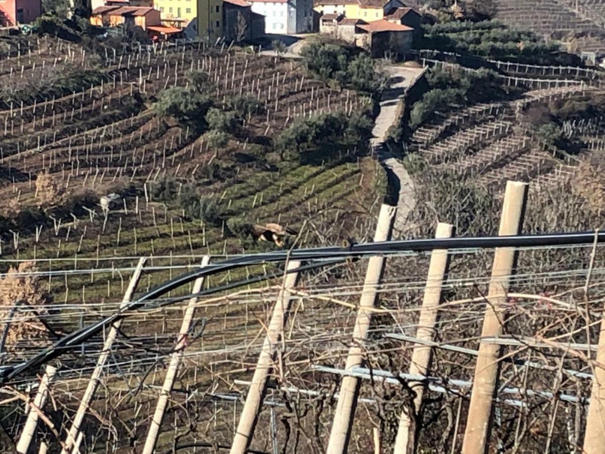 La Preara Alloggio per agriturismo